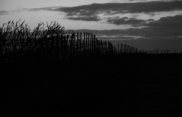 terroirs de la Champagne